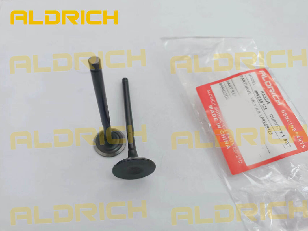 HAOJUE XPRESS 125 Motorcycle Engine Parts Intake & Exhaust Valve Kit (OEM: 12911H16200H000 / 12912H16200H000)