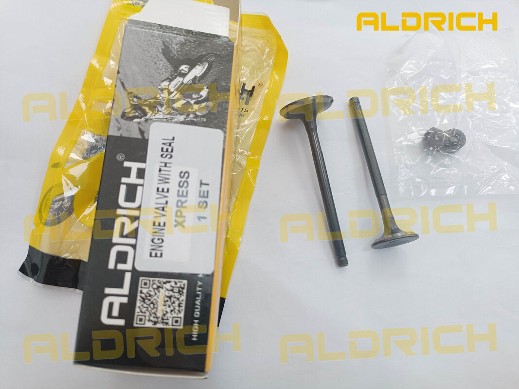 HAOJUE XPRESS 125 Motorcycle Engine Parts Intake & Exhaust Valve Kit (OEM: 12911H16200H000 / 12912H16200H000)