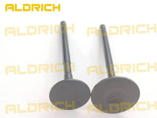 HAOJUE XPRESS 125 Motorcycle Engine Parts Intake & Exhaust Valve Kit (OEM: 12911H16200H000 / 12912H16200H000)